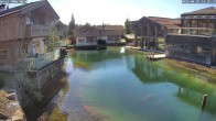 Archiv Foto Webcam INNs HOLZ Natur- & Vitalhotel, Chaletdorf Böhmerwald 08:00