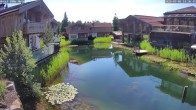 Archived image Webcam INNs HOLZ, Schöneben 13:00
