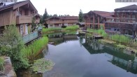 Archiv Foto Webcam INNs HOLZ Natur- & Vitalhotel, Chaletdorf Böhmerwald 11:00