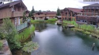 Archiv Foto Webcam INNs HOLZ Natur- & Vitalhotel, Chaletdorf Böhmerwald 11:00