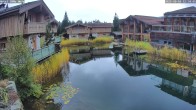 Archiv Foto Webcam INNs HOLZ Natur- & Vitalhotel, Chaletdorf Böhmerwald 11:00