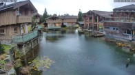 Archiv Foto Webcam INNs HOLZ Natur- & Vitalhotel, Chaletdorf Böhmerwald 11:00