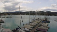 Archiv Foto Webcam Bootswerft Schmalzl - Wörthersee 13:00