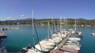Archiv Foto Webcam Bootswerft Schmalzl - Wörthersee 13:00
