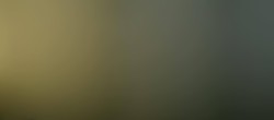 Archiv Foto Webcam Panoramablick Schafberg 23:00