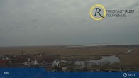 Archiv Foto Webcam Rust am Neusiedler See 08:00