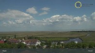 Archiv Foto Webcam Rust am Neusiedler See 12:00