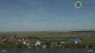 Archiv Foto Webcam Rust am Neusiedler See 12:00