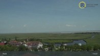 Archiv Foto Webcam Rust am Neusiedler See 12:00