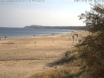 Archiv Foto Webcam Usedom: Zinnowitz/Trassenheide Ostseestrand 11:00