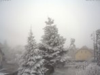 Archived image Webcam Gföhl - Waldviertel 11:00