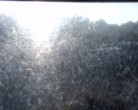 Archiv Foto Webcam Mariensteg - Wernstein am Inn 17:00