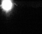 Archiv Foto Webcam Mariensteg - Wernstein am Inn 01:00