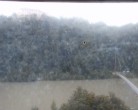 Archiv Foto Webcam Mariensteg - Wernstein am Inn 07:00