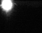 Archiv Foto Webcam Mariensteg - Wernstein am Inn 01:00