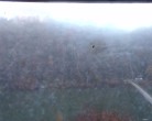 Archiv Foto Webcam Mariensteg - Wernstein am Inn 07:00
