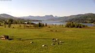 Archiv Foto Webcam Blick auf den Irrsee im Salzkammergut 07:00