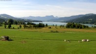 Archived image Webcam Irrsee - Salzkammergut 07:00