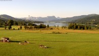 Archiv Foto Webcam Blick auf den Irrsee im Salzkammergut 06:00