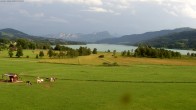 Archiv Foto Webcam Blick auf den Irrsee im Salzkammergut 12:00