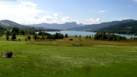 Archiv Foto Webcam Blick auf den Irrsee im Salzkammergut 09:00