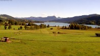 Archiv Foto Webcam Blick auf den Irrsee im Salzkammergut 16:00