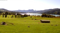 Archiv Foto Webcam Blick auf den Irrsee im Salzkammergut 11:00