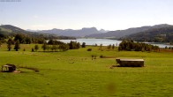 Archiv Foto Webcam Blick auf den Irrsee im Salzkammergut 13:00