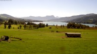 Archiv Foto Webcam Blick auf den Irrsee im Salzkammergut 11:00