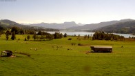 Archiv Foto Webcam Blick auf den Irrsee im Salzkammergut 13:00