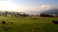 Archiv Foto Webcam Blick auf den Irrsee im Salzkammergut 08:00