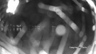 Archiv Foto Webcam Ledrosee - Lago di Ledro 01:00