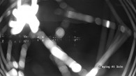 Archiv Foto Webcam Ledrosee - Lago di Ledro 03:00