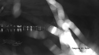 Archiv Foto Webcam Ledrosee - Lago di Ledro 01:00