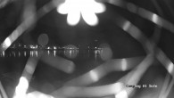 Archiv Foto Webcam Ledrosee - Lago di Ledro 01:00