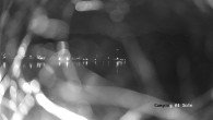 Archiv Foto Webcam Ledrosee - Lago di Ledro 01:00