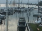 Archiv Foto Hafen Webcam: Marina in Röbel an der Müritz 03:00