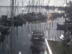 Archiv Foto Hafen Webcam: Marina in Röbel an der Müritz 06:00