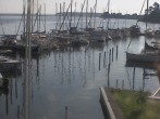 Archiv Foto Hafen Webcam: Marina in Röbel an der Müritz 07:00