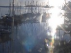 Archiv Foto Hafen Webcam: Marina in Röbel an der Müritz 05:00