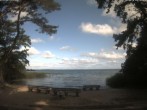 Archiv Foto Webcam Boek an der Müritz - Ostufer 08:00