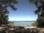 Archiv Foto Webcam Boek an der Müritz - Ostufer 11:00