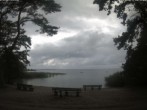 Archiv Foto Webcam Boek an der Müritz - Ostufer 13:00