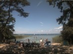 Archiv Foto Webcam Boek an der Müritz - Ostufer 11:00