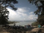 Archiv Foto Webcam Boek an der Müritz - Ostufer 13:00