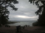 Archiv Foto Webcam Boek an der Müritz - Ostufer 00:00