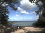 Archiv Foto Webcam Boek an der Müritz - Ostufer 04:00