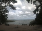 Archiv Foto Webcam Boek an der Müritz - Ostufer 09:00