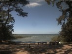 Archiv Foto Webcam Boek an der Müritz - Ostufer 13:00