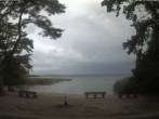 Archived image Webcam Boek (Müritz) 08:00